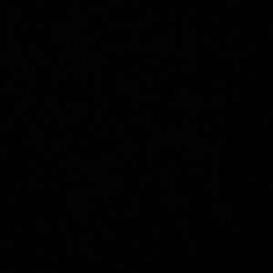 Meet your Posher, Marley